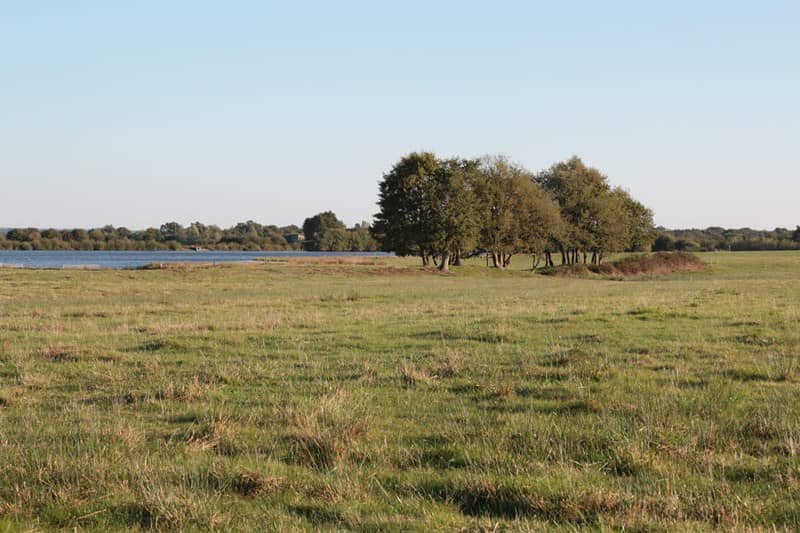Illustration de l'événement : Histoire des paysages et des étangs de la Brenne