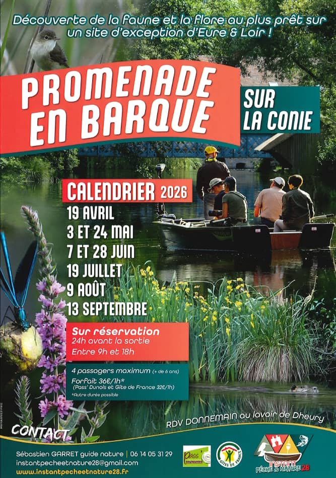 Illustration de l'événement : Promenades en barque sur la Conie