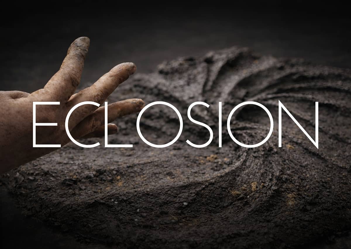 Illustration de l'événement : Exposition Éclosion