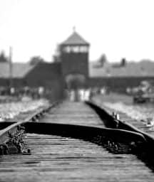 Illustration de l'événement : Elégies d'Auschwitz