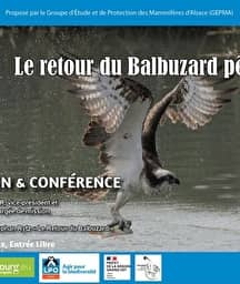 Illustration de l'événement : Conférence du Mardi Nature : Le retour du Balbuzard pêcheur