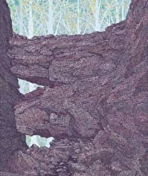 Illustration de l'événement : Le Mur