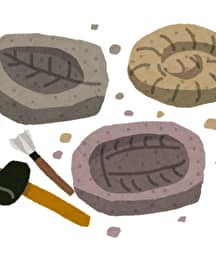 Illustration de l'événement : Fabrique ton fossile
