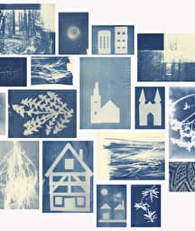 Illustration de l'événement : Cyanotype