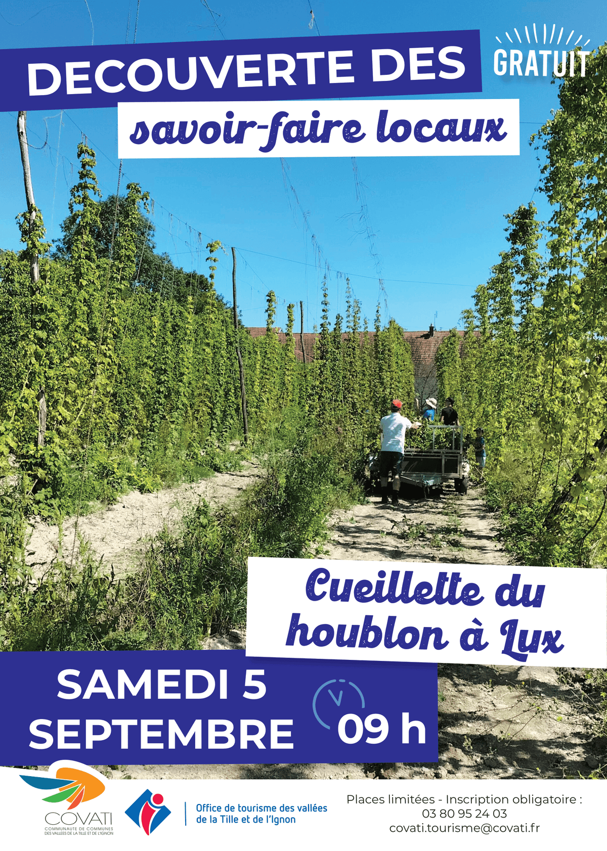 Illustration de l'événement : Découverte des savoir-faire locaux : Cueillette du houblon à Lux