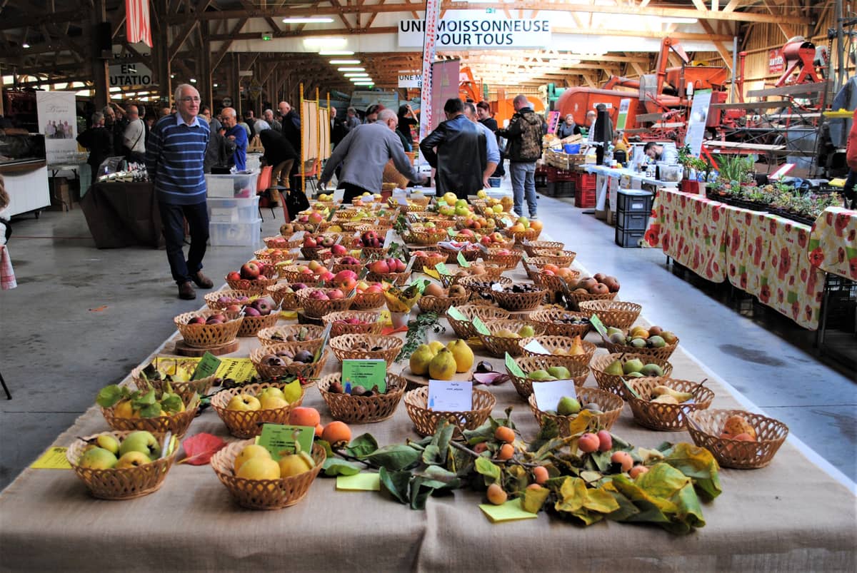 Illustration de l'événement : Marché du Terroir au MUMAR (Musée de la Machine Agricole)