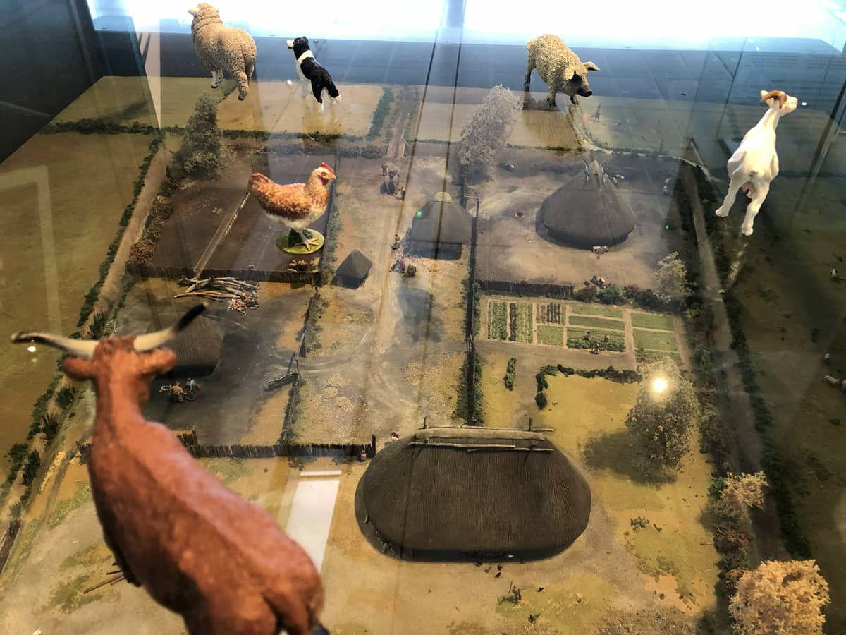 Illustration de l'événement : Musée décalé, une visite famille à Bibracte