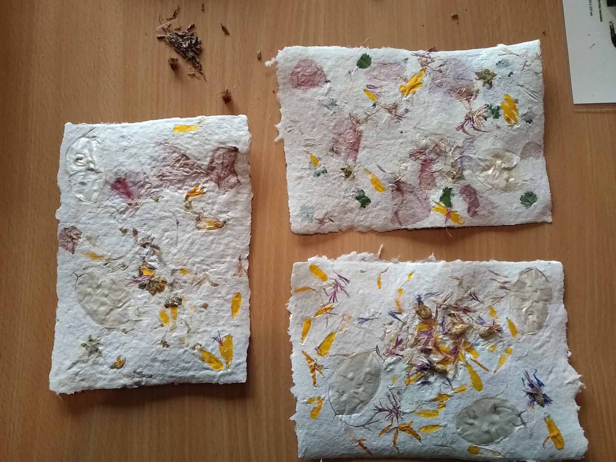 Illustration de l'événement : Papier fleuri