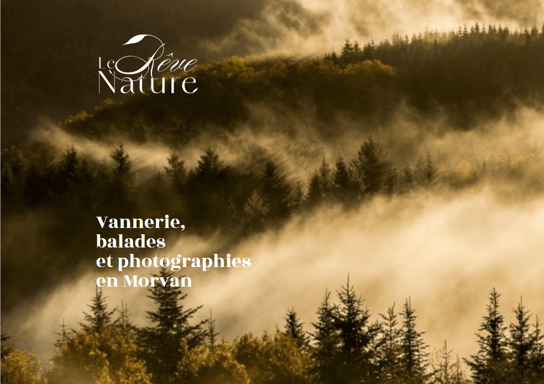 Illustration de l'événement : Balade Nature : Oussière Rivière Sauvage