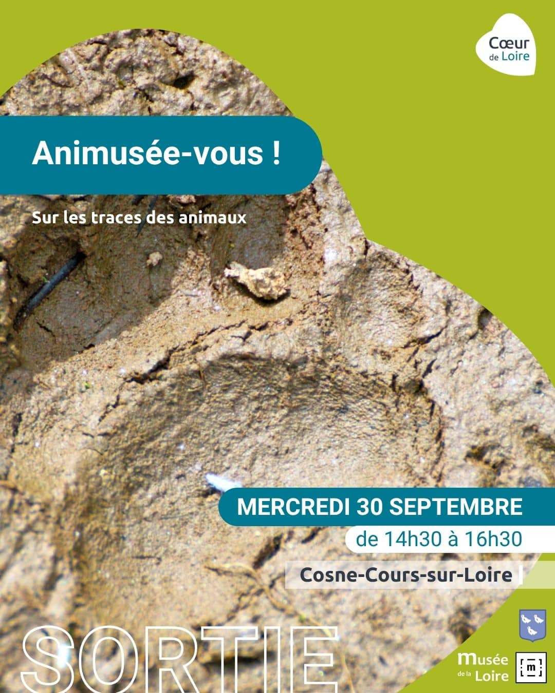 Illustration de l'événement : Visite-Sortie "Animusée-vous ! Sur les traces des animaux"