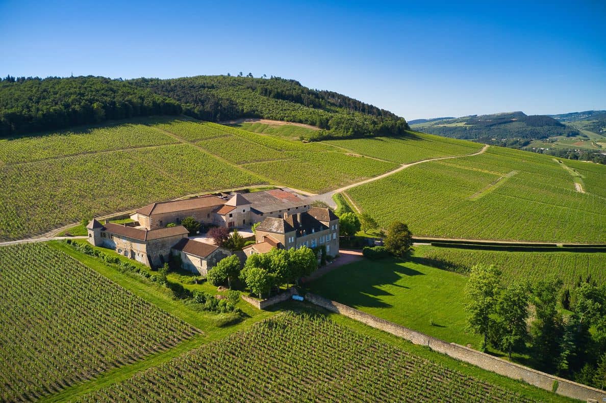 Illustration de l'événement : Visite du Musée de la vigne et du Vin