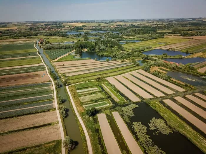 Illustration de l'événement : La route du marais maraicher : visite guidée du marais Audomarois en bateau