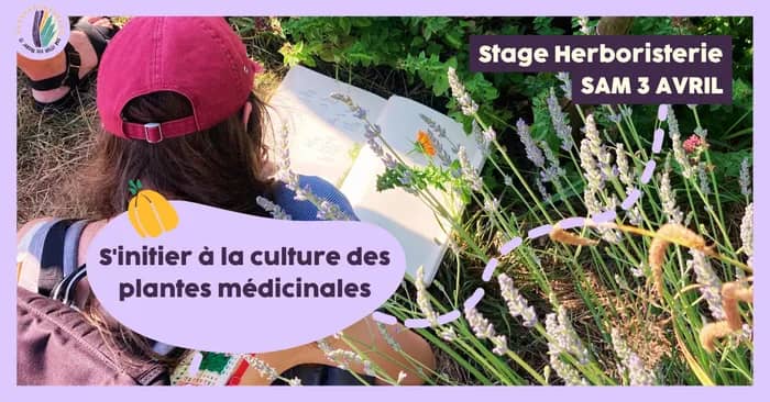 Illustration de l'événement : Stage 1 jour : S'initier à la culture des plantes aromatiques et médicinales