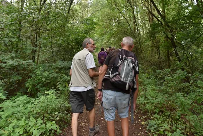Illustration de l'événement : Découverte du Chemin de Compostelle à Carvin