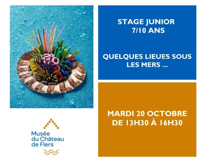 Illustration de l'événement : Stage Junior 7/10 ans : Quelques Lieues sous les mers ...