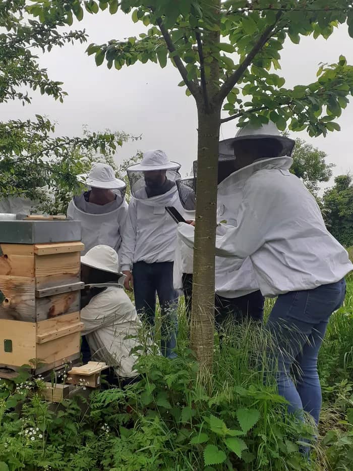 Illustration de l'événement : Visite du rucher + dégustation de nos produits