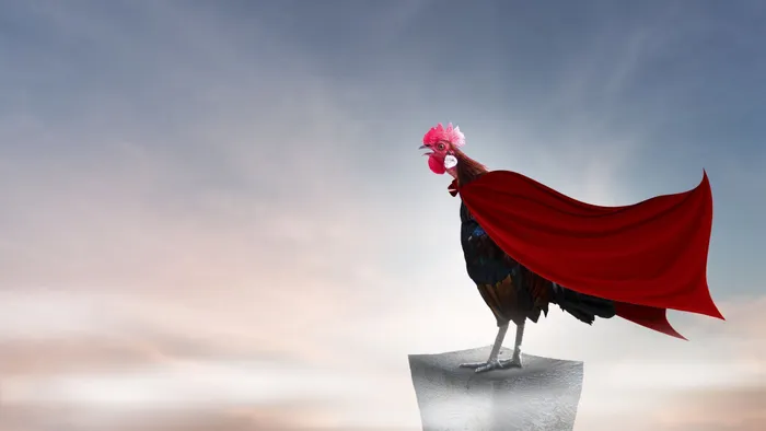 Illustration de l'événement : Les oiseaux extraordinaires