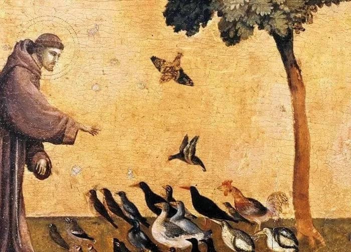 Illustration de l'événement : Visite commentée : Création & créations végétales, les 800 ans de Saint François d'Assise