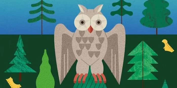 Illustration de l'événement : Animation enfants 7/11 ans – Château des ducs de Bretagne