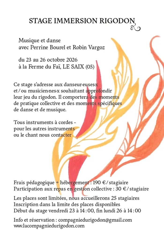 Illustration de l'événement : Stage immersion rigodon