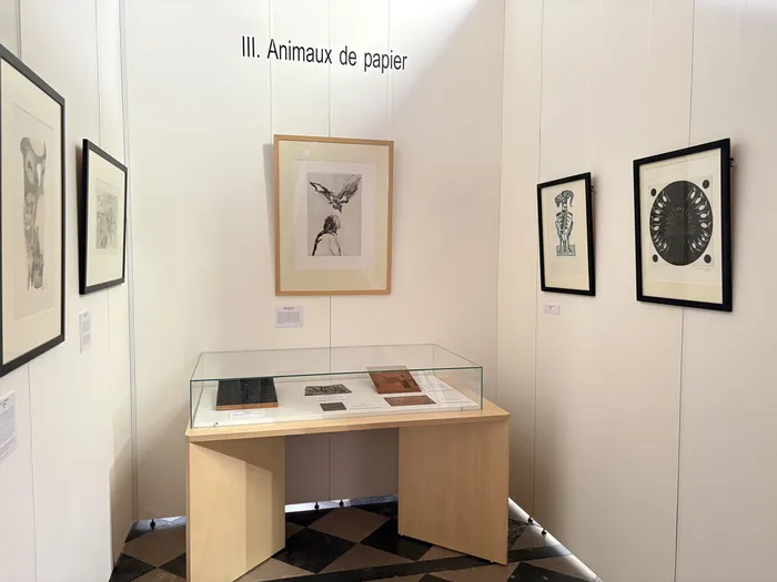 Illustration de l'événement : Visite flash de l'exposition Estampes du XXe siècle - Collections de la Ville d'Abbeville