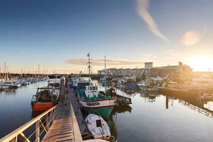 Illustration de l'événement : Visite guidée : le port de pêche de La Turballe