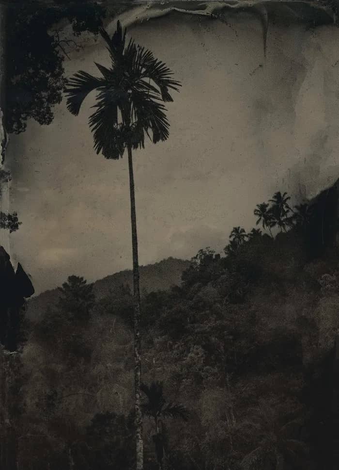 Illustration de l'événement : Atelier de photographie ancienne – Le collodion humide