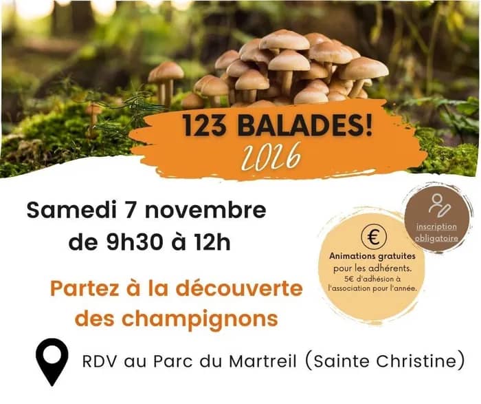 Illustration de l'événement : Partez à la découverte des champignons