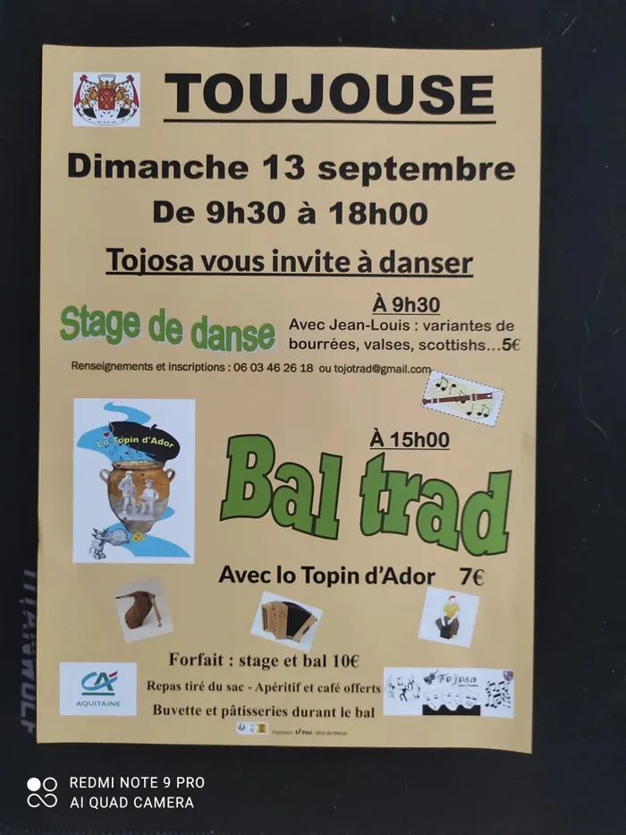 Illustration de l'événement : Stage suivi d'un bal trad