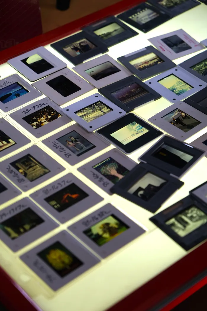 Illustration de l'événement : Visite guidée des Archives : Mise au point sur les collections photographiques