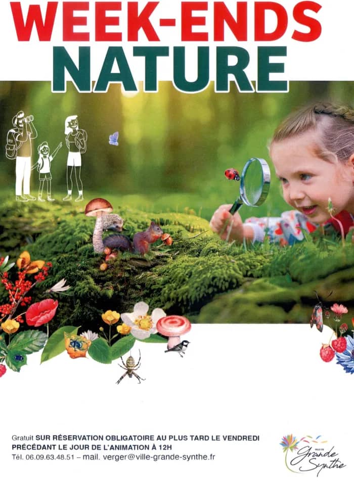 Illustration de l'événement : RANDO NATURE "AUTOUR DE GRANDE-SYNTHE"