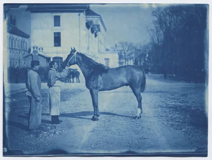 Illustration de l'événement : Atelier cyanotype "De l'archive à l'artiste: la photographie"