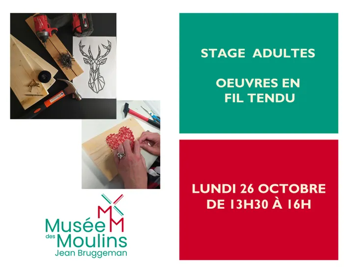 Illustration de l'événement : Stage adultes : œuvres en fil tendu