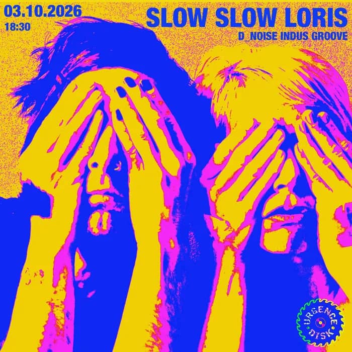 Illustration de l'événement : Slow Slow Loris_d_noise indus groove