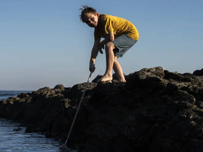 Illustration de l'événement : Initiation à la pêche à pied