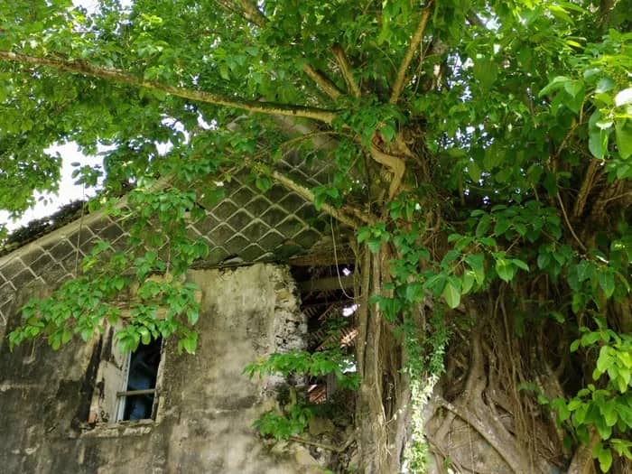 Illustration de l'événement : VISITE COMMENTÉE DE L'HABITATION DUFFERET