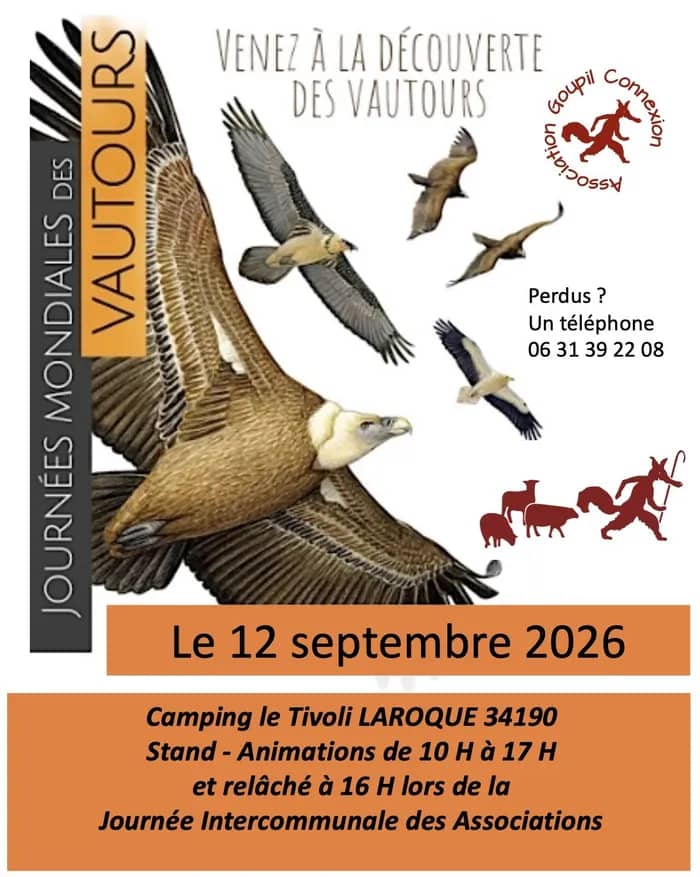 Illustration de l'événement : Venez à la découverte des VAUTOURS lors de la Journée Mondiale des Vautours