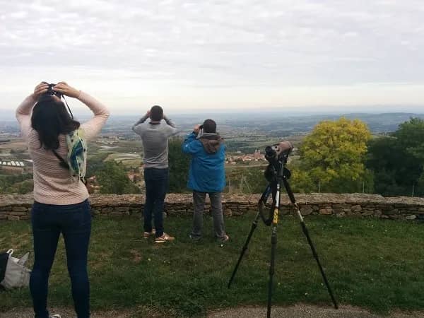 Illustration de l'événement : Découvrir la migration // Rencontre naturaliste d’automne de la LPO du Rhône