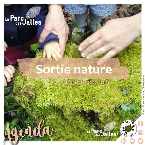 Illustration de l'événement : "Forêt des petits et tout-petits"