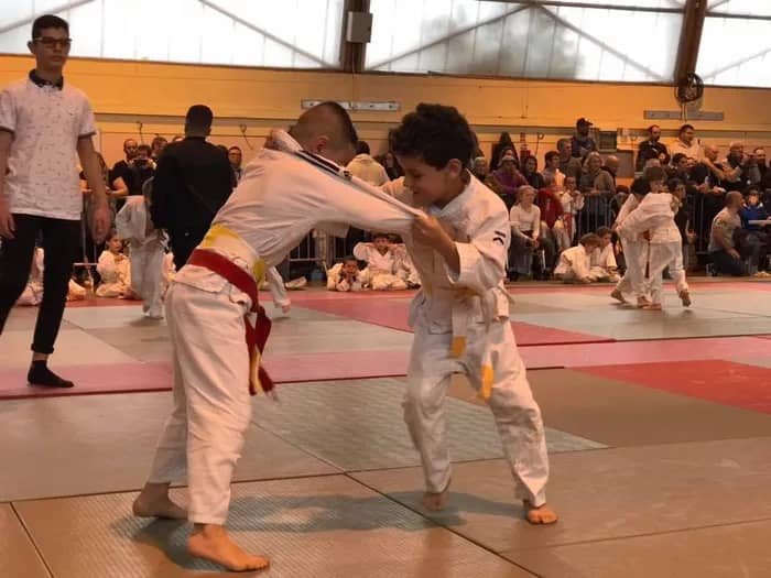 Illustration de l'événement : Tournoi régional de judo