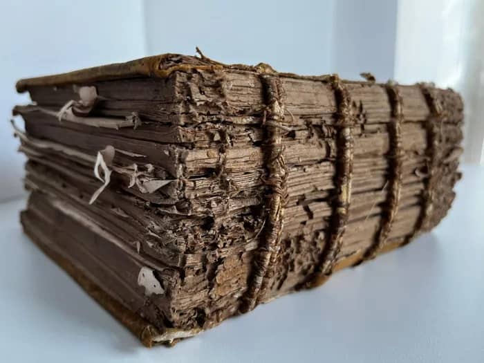 Illustration de l'événement : L'archéologie du livre ancien