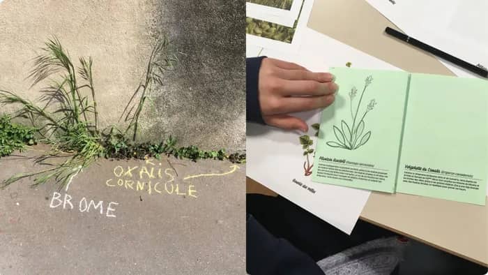 Illustration de l'événement : Atelier de graffiti botanique