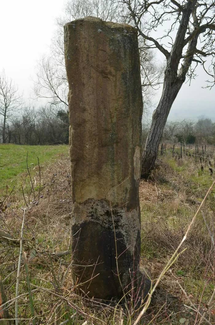 Illustration de l'événement : Visite libre des deux menhirs de Saint-Clément-sur-Guye