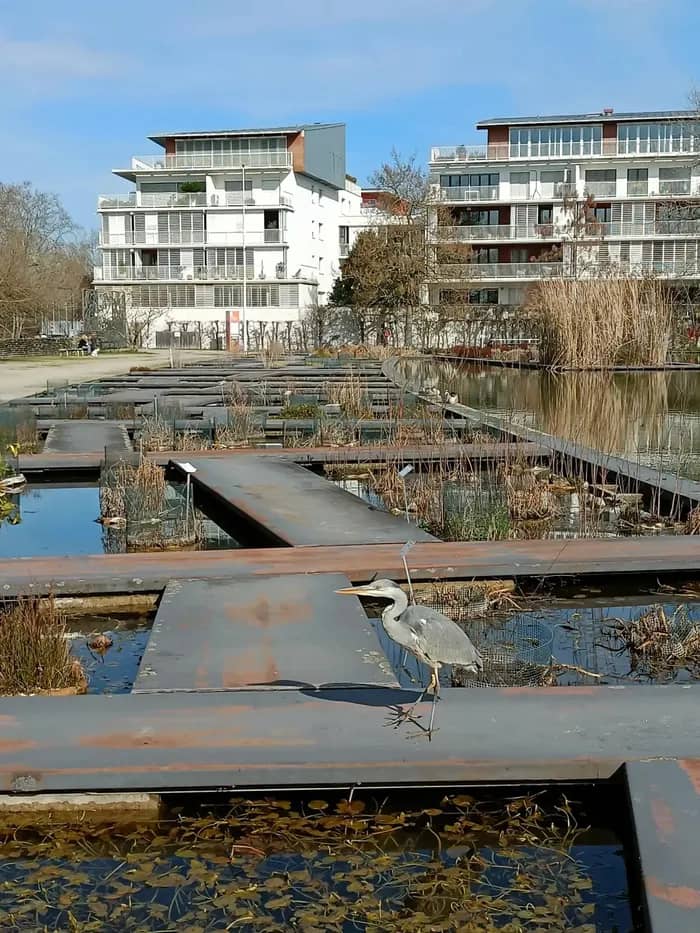 Illustration de l'événement : Mutations urbaines dans le quartier de la Bastide