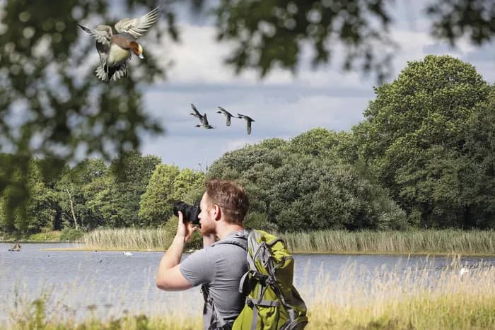Illustration de l'événement : Visite de la Cité des Oiseaux