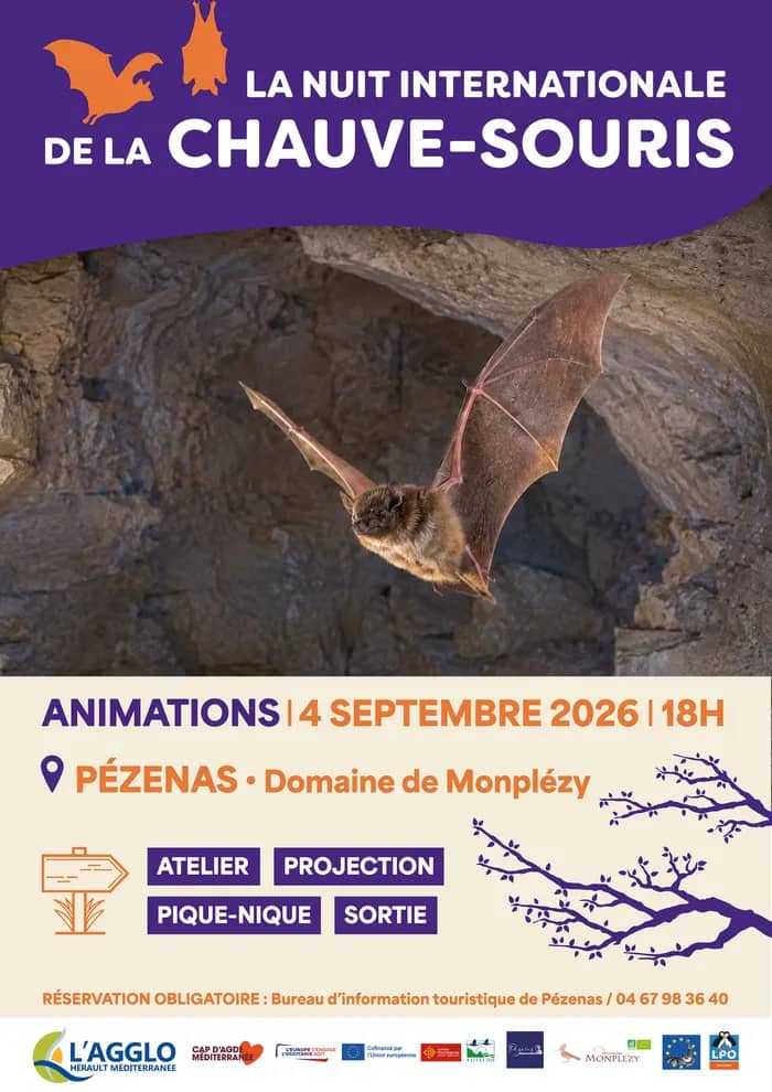 Illustration de l'événement : 30ème Nuit internationale de la chauve-souris : venez découvrir ce précieux auxiliaire de la nature à Pézenas