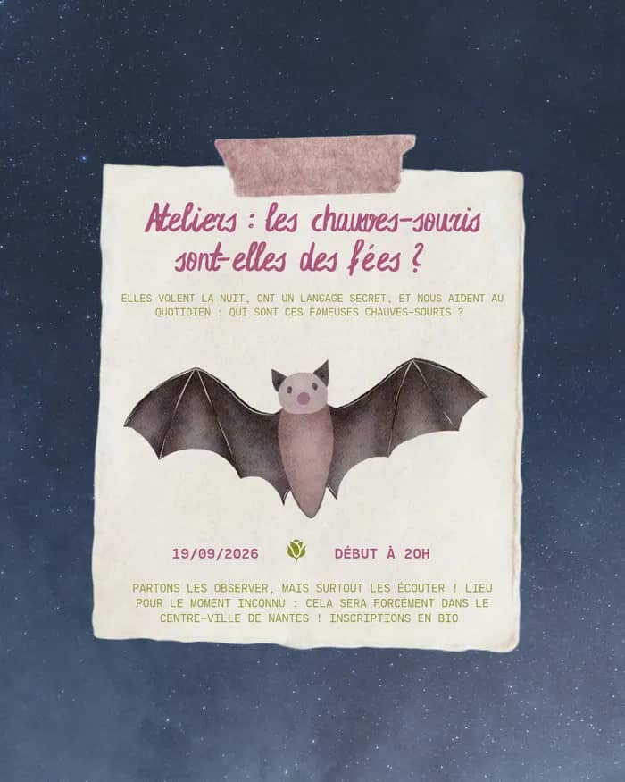 Illustration de l'événement : Ces animaux qui enchantent nos nuits