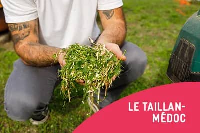 Illustration de l'événement : Jardiner au naturel - Automne