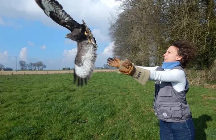 Illustration de l'événement : Rencontre avec le CHENE : recueillir et soigner la faune sauvage