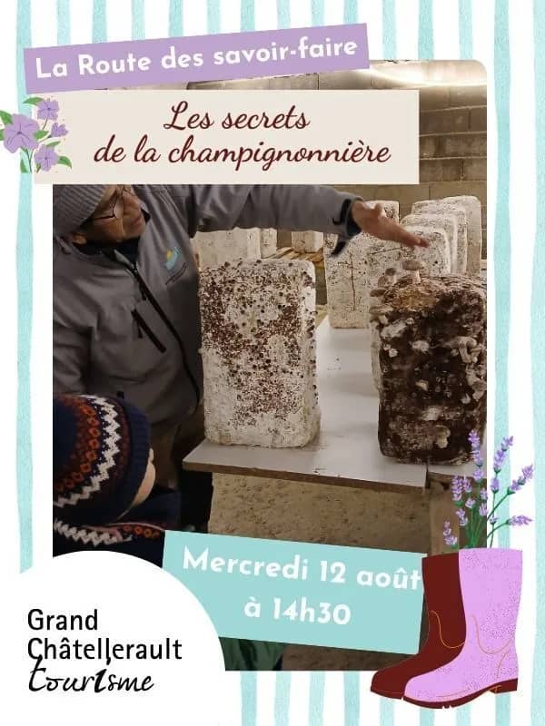 Illustration de l'événement : Les secrets de la champignonnière